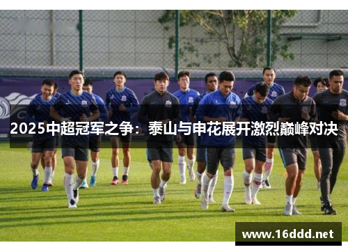2025中超冠军之争：泰山与申花展开激烈巅峰对决