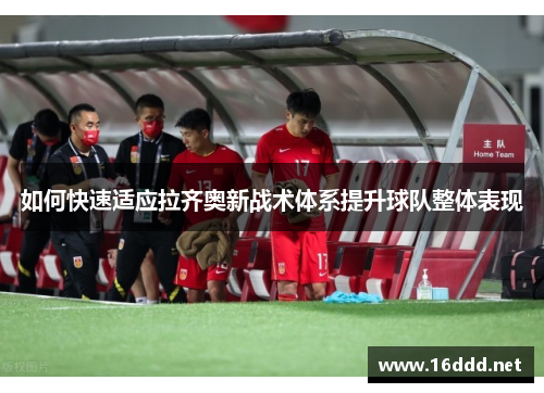 如何快速适应拉齐奥新战术体系提升球队整体表现